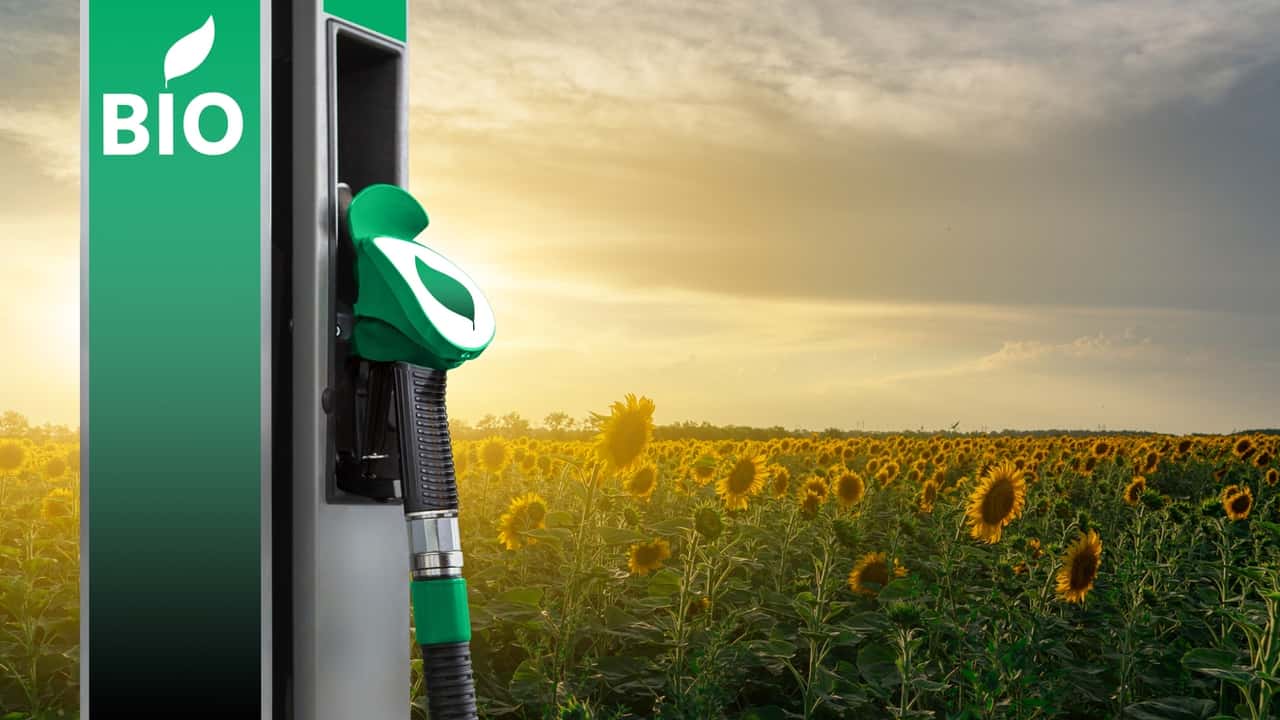 Biocarburante HVO