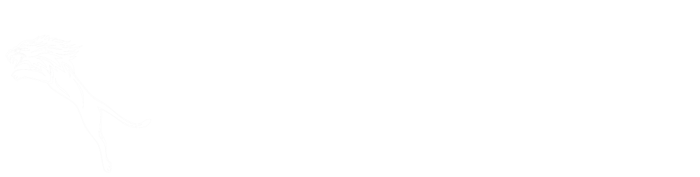 Nelsa lubrificanti